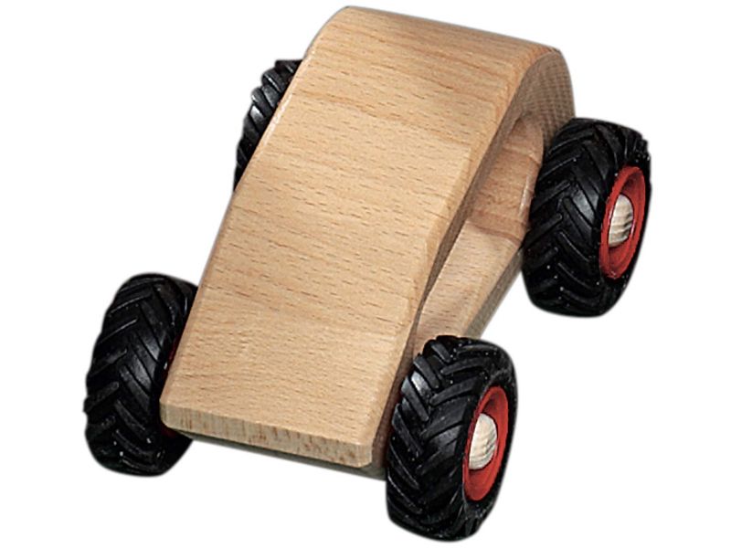 fagus Holzauto VAN