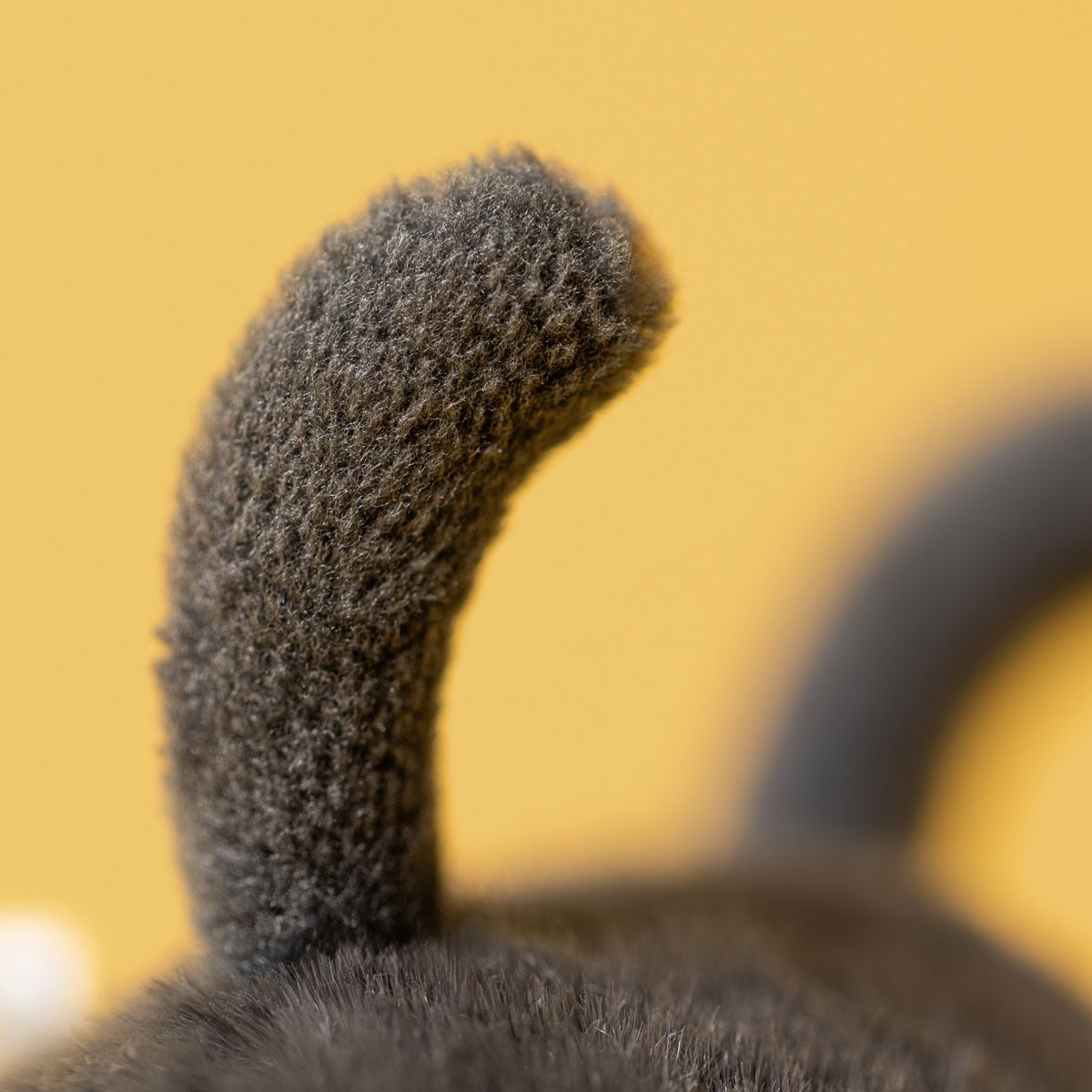Jellycat BEE Albee