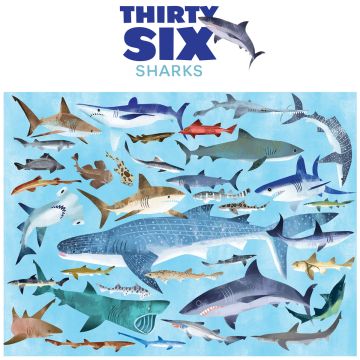 Crocodile Creek PUZZLE 36 Animals Sharks (100 Pcs)
