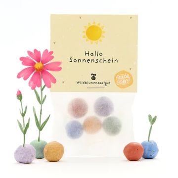 DieStadtgärtner 5 FLOWER SEED BOMBS in Bag "Sonnenschein"
