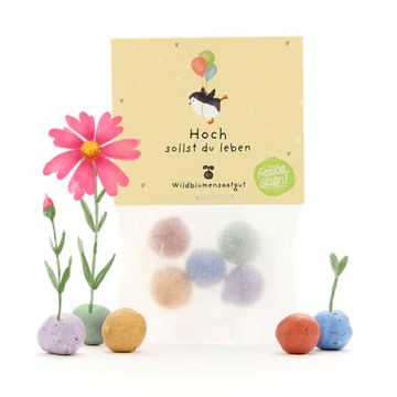 DieStadtgärtner 5 FLOWER SEED BOMBS in Bag "Hoch sollst du.."