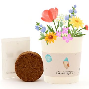 DieStadtgärtner Flowers in a Mug "Geburtstagskind"
