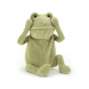 Jellycat Ricky Regenfrosch 20 Cm NICHT MEHR PRODUZIERT NEU MIT
