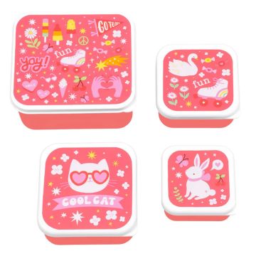 A Little Lovely Company 4 Lunch Boxes FUN