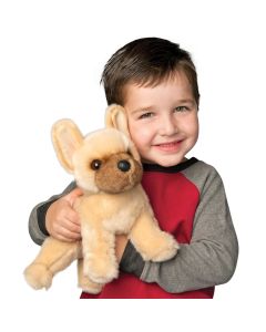 Douglas Toys KUSCHELTIER HUND Franz&ouml;sische Bulldogge "Napoleon" (25 cm)