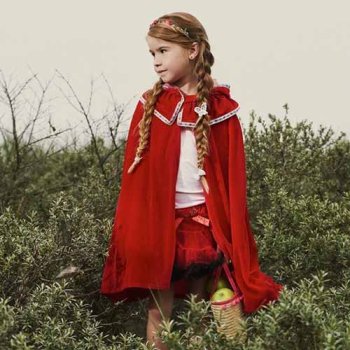 Fairy Tale & Mythical Creature Costumes