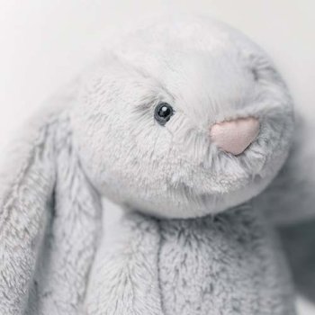 Cuddly Toys