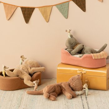 Katzen