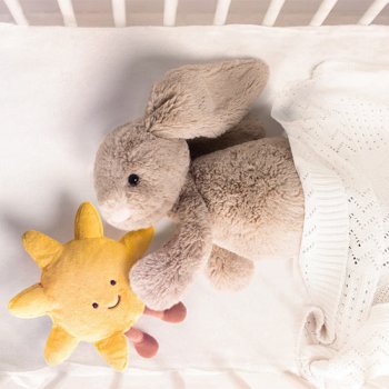Baby Toys (0-2 years)